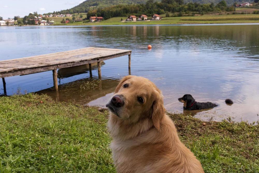 Vila Kuca Za Odmor Jezero Ogulin Exteriér fotografie